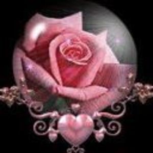 Meet your Posher, Rosemarie